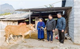 Tuyên Quang: “Đòn bẩy” giảm nghèo ở Bản Trưởng