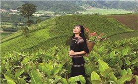 Á hậu 3 Miss Grand Vietnam Đinh Y Quyên: Tuổi trẻ kiến tạo hòa bình bằng tri thức và trách nhiệm