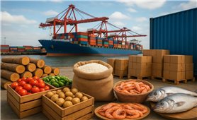 Xuất khẩu vượt 58 tỷ USD - Nông nghiệp Việt Nam khẳng định vị thế trên thị trường thế giới