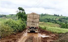 Quảng Ngãi: Xe tải trọng lớn cày nát đường liên xã được đầu tư từ Chương trình MTQG 1719