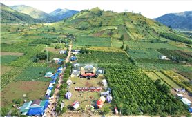 Lễ hội hoa Dã quỳ - Núi lửa Chư Đang Ya năm 2025- Hứa hẹn trải nghiệm ấn tượng