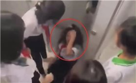 Bạo lực học đường ngày càng nghiêm trọng