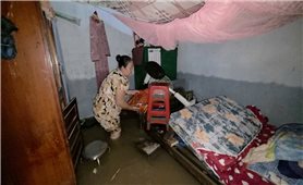 Cần Thơ: Triều cường lập đỉnh kỷ lục mới, nhiều vùng ngập sâu