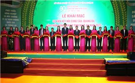 Kết nối cung cầu, quảng bá các sản phẩm nông nghiệp tỉnh Nghệ An năm 2025