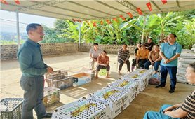 Cao Bằng: Cần liệu pháp mạnh để giảm nghèo ở nhóm các dân tộc còn nhiều khó khăn