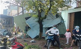 Gia Lai: Bão số 13 gây thiệt hại nặng, 1 người chết, hàng nghìn ngôi nhà bị sập và tốc mái