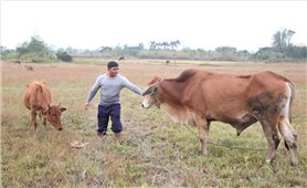 Những điển hình lan tỏa ý chí vươn lên thoát nghèo bền vững tại xã Đăk Rơ Wa