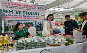 Gần 300 gian hàng hội tụ tại Trưng bày nông sản an toàn Thanh Hóa 2025