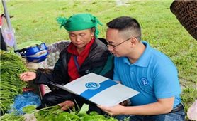 Chính phủ giao chỉ tiêu phát triển đối tượng tham gia bảo hiểm xã hội đến năm 2030