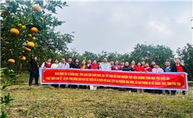 Bằng Mạc (Lạng Sơn): Tổ chức đoàn công tác học tập, trao đổi kinh nghiệm cho cán bộ xã, thôn