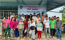 An Giang tập huấn kỹ thuật nuôi cá dứa, nâng cao kiến thức sản xuất cho nông dân