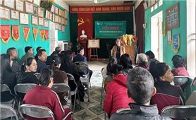 Thái Nguyên phát triển mô hình trồng chè giống chất lượng cao