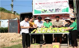 Thái Nguyên phát triển mô hình nuôi gà H’Mông - Hướng đi bền vững cho nông nghiệp đặc sản