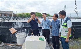 Cà Mau tập huấn nâng cao năng lực tổ khuyến nông cộng đồng, cập nhật Luật Hợp tác xã 2023