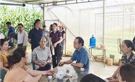 Lào Cai tập huấn hướng dẫn các địa phương ban hành chính sách khuyến nông cộng đồng