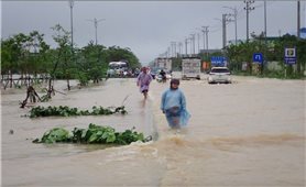 Khánh Hòa đề nghị Trung ương hỗ trợ, đầu tư hệ thống thoát lũ trọng điểm