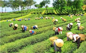 Thủ tướng chỉ đạo thực hiện các nhiệm vụ thúc đẩy tăng trưởng kinh tế