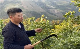 Thực hiện chính sách với Người có uy tín ở Cao Bằng: Từ tiêu chí lựa chọn đến thực tiễn cơ sở (Bài 1)