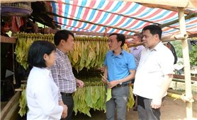 Cao Bằng: Tạo nền tảng phát triển bền vững cho đồng bào dân tộc Mông