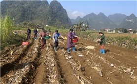 Cao Bằng: Đào tạo nghề có chiều sâu, mở lối sinh kế bền vững