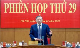 Tổng Bí thư Tô Lâm chủ trì Phiên họp thứ 29 của Ban Chỉ đạo Trung ương về phòng, chống tham nhũng, lãng phí, tiêu cực