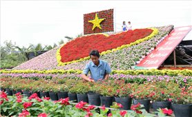 “Trái tim làng hoa Sa Đéc” rực rỡ trước thềm hội lớn
