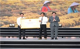 Nghề trồng hoa kiểng Sa Đéc được công nhận là Di sản văn hóa phi vật thể