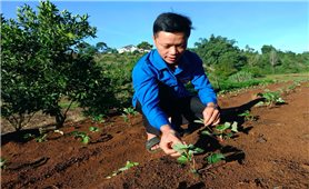 Những đảng viên trẻ nhiệt huyết ở Gia Lai