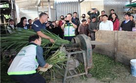 Miền núi phía Bắc “kích hoạt” giải pháp phòng, chống rét cho gia súc