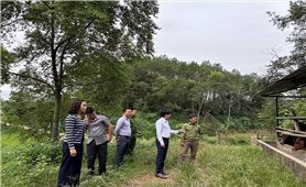 Chương trình MTQG Giảm nghèo bền vững ở Thụy Hùng (Lạng Sơn): Thêm điểm tựa phát triển nơi biên giới (Bài 1)