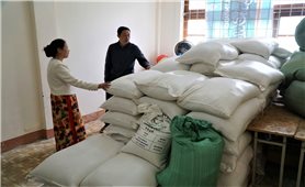 Quảng Ngãi: Vướng mắc từ phụ lục văn bản, trường không thể cấp gạo và tiền hỗ trợ cho 56 học sinh DTTS