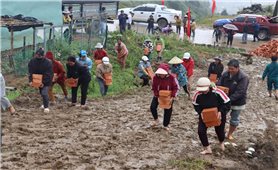 Quảng Ngãi: Chung tay giúp đồng bào DTTS vùng sạt lở dựng nhà mới