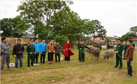 Đoàn Kinh tế - Quốc phòng 338: Điểm tựa của nhân dân biên giới Lạng Sơn