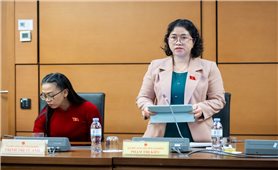 Đại biểu Quốc hội kiến nghị giao cơ quan chuyên ngành chủ trì hợp phần đặc thù về công tác dân tộc