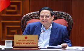 Thủ tướng: Xây dựng chính sách vượt trội, cạnh tranh để thí điểm một số khu thương mại tự do