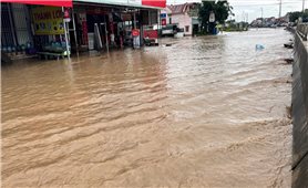 Mưa lũ, sạt lở tiếp tục hoành hành tại Nam Trung bộ và Tây Nguyên