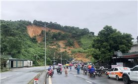 Tập trung khắc phục thiệt hại do cơn bão số 10 gây ra trên địa bàn tỉnh Lào Cai