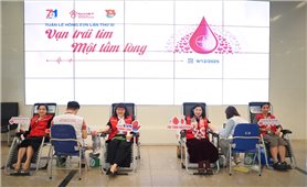 Tập đoàn Điện lực Việt Nam: Tổ chức chương trình hiến máu tình nguyện
