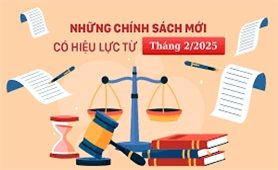 Chính sách mới có hiệu lực từ tháng 2/2025