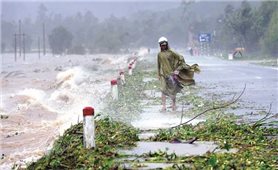 Tầm quan trọng của công tác cảnh báo sớm thiên tai