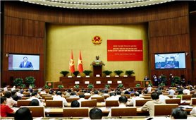 Hội nghị toàn quốc quán triệt, triển khai Nghị quyết Trung ương 11