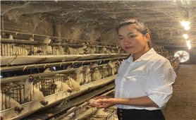 Ngã rẽ bất ngờ của nữ thạc sỹ kinh tế