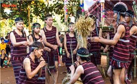 Lễ cúng Thần lúa của đồng bào Chơ Ro