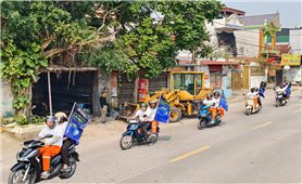 EVNNPC hưởng ứng Chiến dịch Giờ Trái đất năm 2025