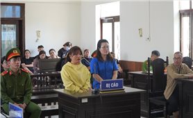 Kon Tum: Xét xử vụ án lừa đảo chiếm đoạt tài sản và sử dụng con dấu hoặc tài liệu giả của cơ quan tổ chức
