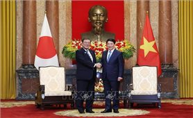 Chủ tịch nước Lương Cường tiếp Thủ tướng Nhật Bản