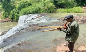 Tiếng kèn trên rẫy