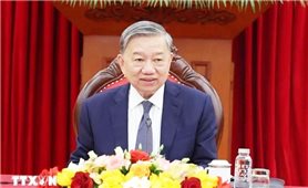 Đưa quan hệ Việt Nam - EU tiếp tục phát triển mạnh mẽ