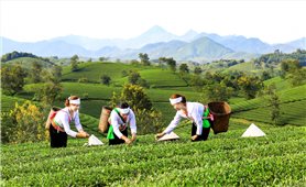 Gấp rút điều chỉnh Chương trình MTQG 1719