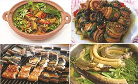 Tinh hoa ẩm thực từ lươn xứ Nghệ